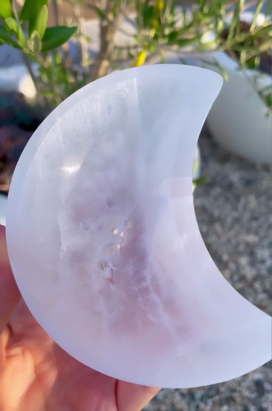 Moon Selenite Bowl ~ High Vibrational Cleansing