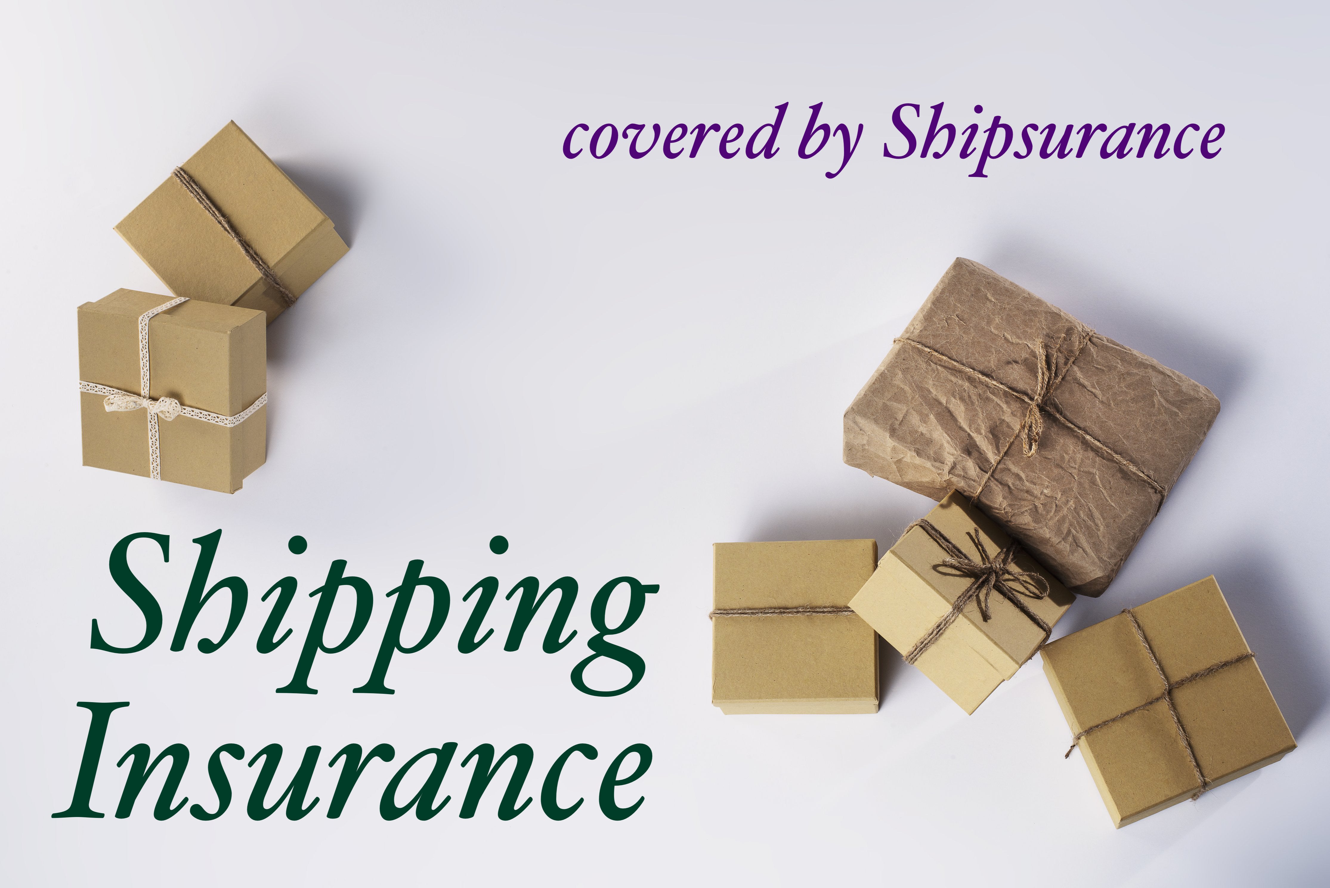 Shipping Insurance